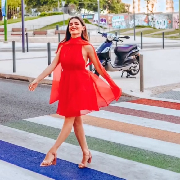 LAST 1️⃣-NWT Zara Mini Organza Dress - Picture 5 of 15